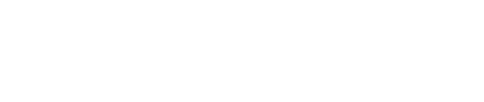 ACCEL CORE